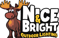nice and bright logo