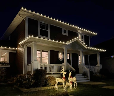 Holiday Lighting